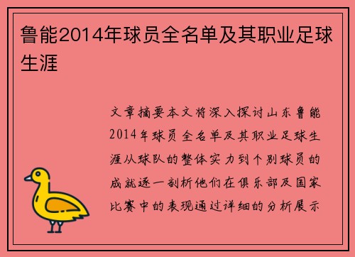 鲁能2014年球员全名单及其职业足球生涯