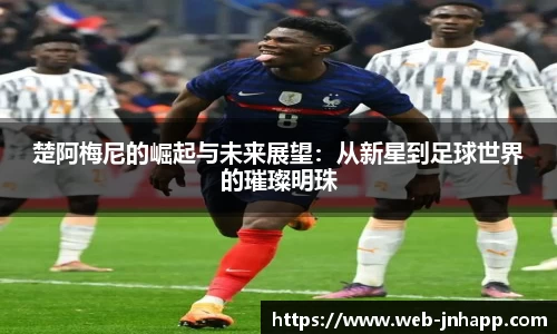 金年会app官网