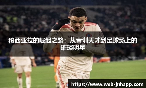 金年会app官网